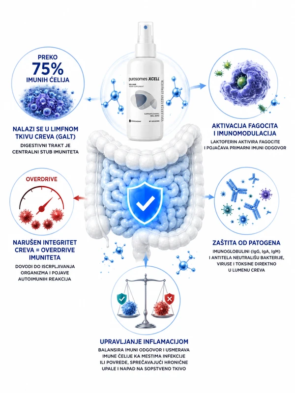 Purasomes XCELL i imuni sistem