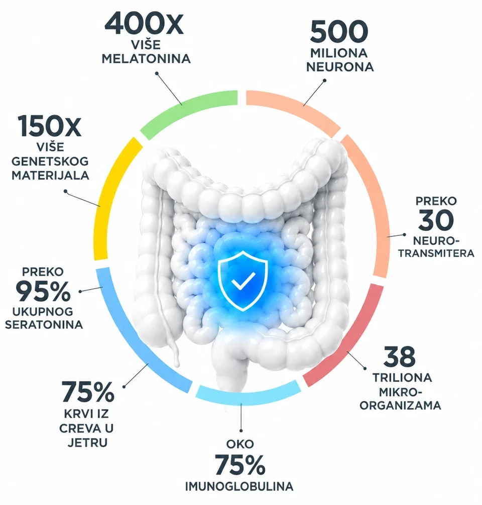 Purasomes XCELL i zdravlje creva